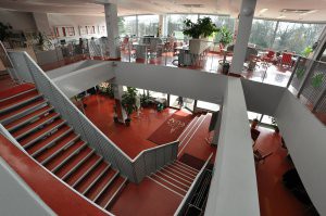 View of the hall and internet cafe on the first floor